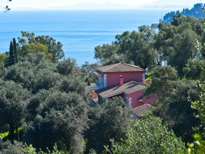Image of Lear House
