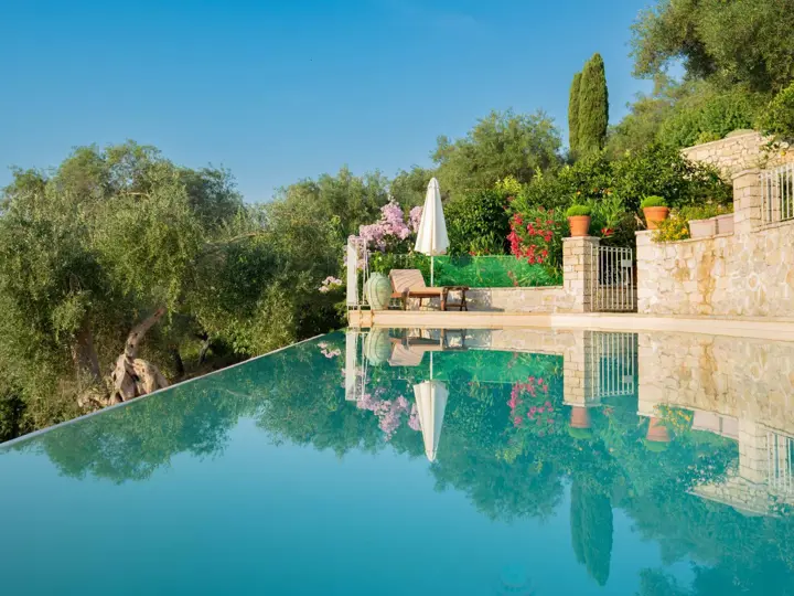 Image of Bougainvillea