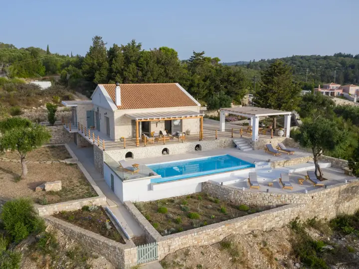 Image of Palamidia
