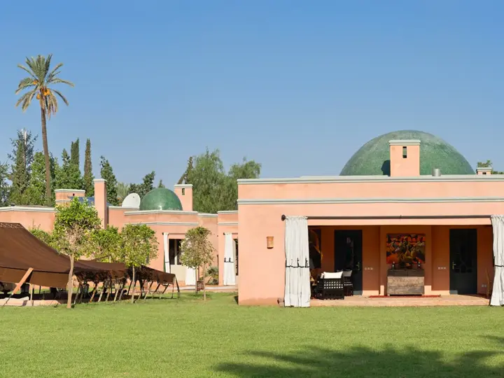 Image of Olive Tree Marrakesh