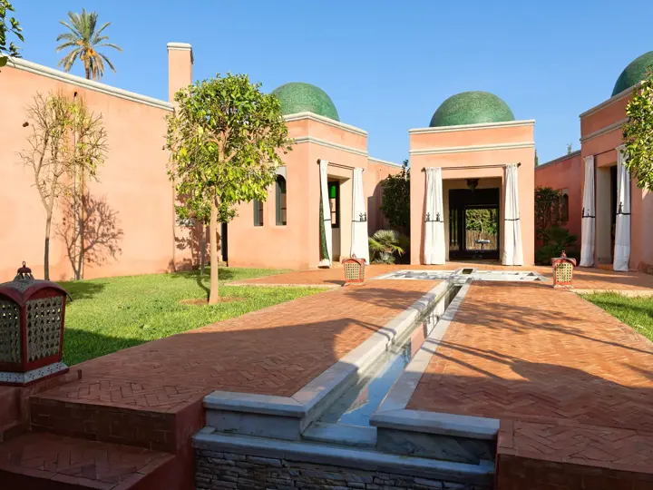 Image of Olive Tree Marrakesh