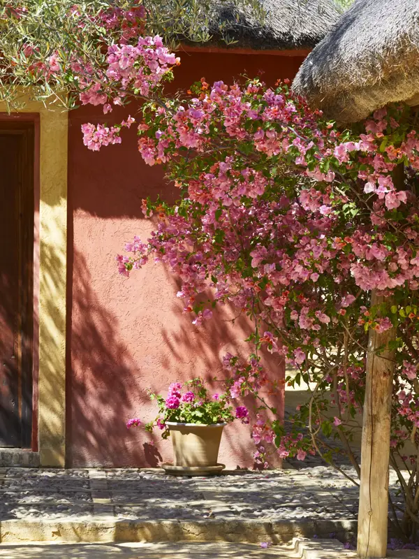 Andalucia