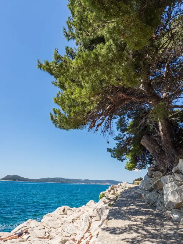 Brac