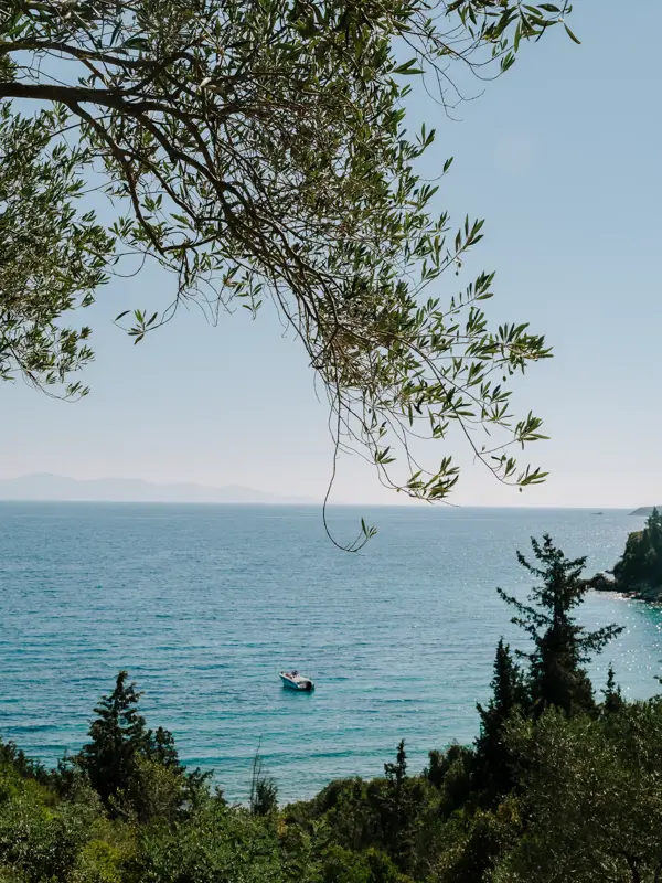 Paxos